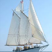 Appledore Tall Ships