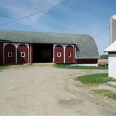 Dexter Farm on Trinkle