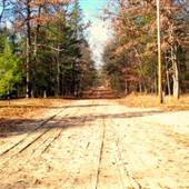 IDLEWILD, MICHIGAN