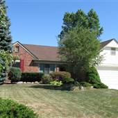 Rick's Novi Home