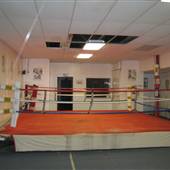 Detroit Boxing Team