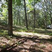 Wooded Riverfront Property with Contour
