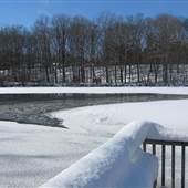 Fernwood Botanical Garden & Nature Preserve