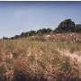 Warren Dunes State Park