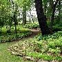 Matthaei Botanical Gardens