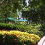 Campus Martius Park