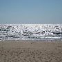 Public Beach in Muskegon