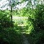 Bald Mountain State Park