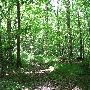 Bald Mountain State Park