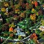Michigan State University