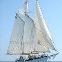 Appledore Tall Ships