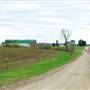 Ford Farms