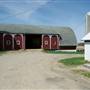 Dexter Farm on Trinkle