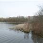 Cedar Lake