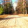 IDLEWILD, MICHIGAN