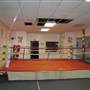 Detroit Boxing Team