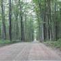 Voice Road