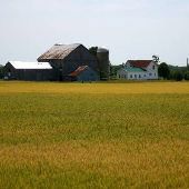 Bad Axe Farm