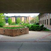 Calvin College