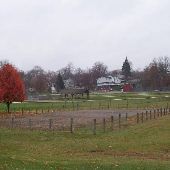 Little League Fields