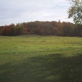 Rolling Hills on Brutus Road