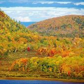 Porcupine Mountains