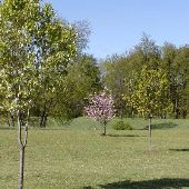 Kodiac Acres