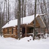 Log Cabin