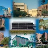 Detroit Medical Center