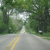 Willow Country Road
