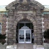 Belle Island Aquarium