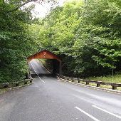 Pierce Stocking Scenic Drive