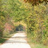 Farm home on 10 acres on Paint Creek Trail