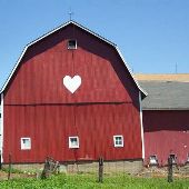 Barney Barnhart's Barn