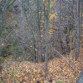 Presque Isle County Scenics