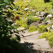 Carole's Old Stone House