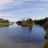 Ford River