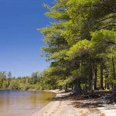 Deer Lake Roadside Park