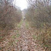 Hogbacks Area Park