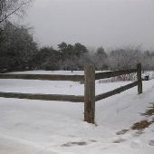 Jeff's Groveland Township Home
