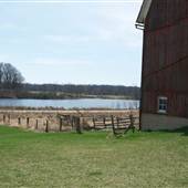 Neil's Ann Arbor Farm