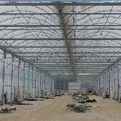 Telley's Greenhouse