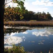 Newaygo County Landscapes