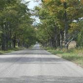 Day Farm Road