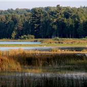 Mackinaw Mill Creek Camping