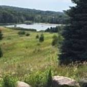 Nicklas Farms