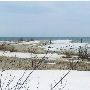 Sturgeon Point