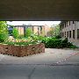 Calvin College