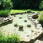 Fernwood Botanical Gardens and Nature Center