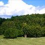 Leila Arboretum